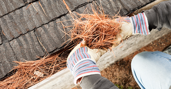 gutter-cleaning-safety-tips-in-context-600x314