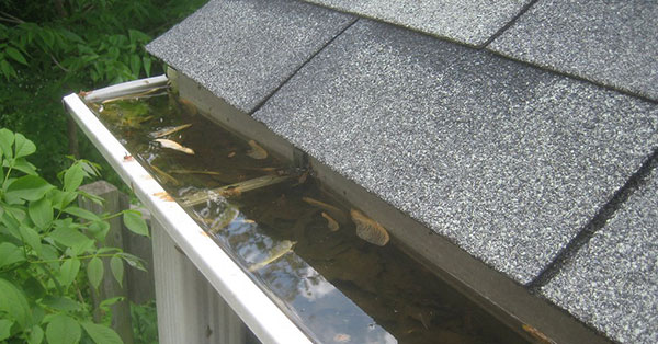 gutter contractor 