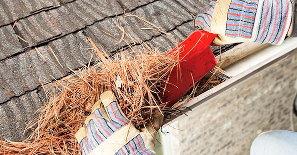 DIY rain gutter cleaning is a messy job