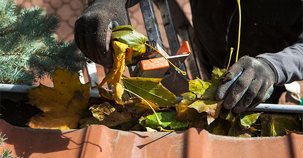 myths on gutter cleaning 