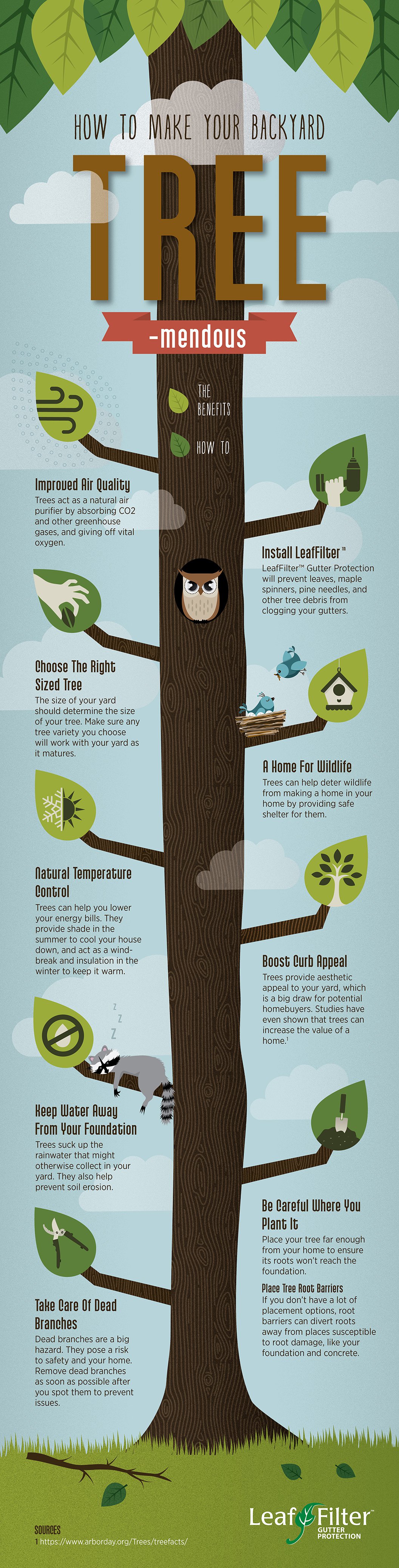 How to make your backyard tree-mendous infographic