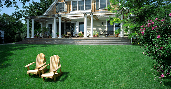 neighbor's lawn greener than mine