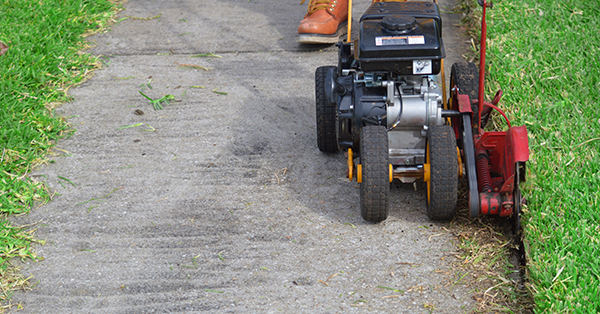 lawn edging 101 