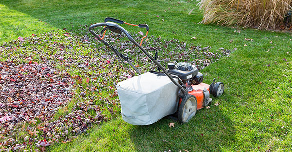 how to recycle fall leaves