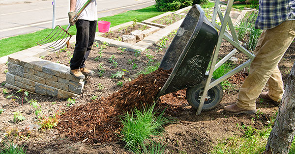 preventing landscape erosion