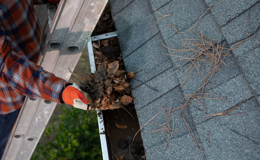 Gutter Cleaning Is Dirty and Annoying