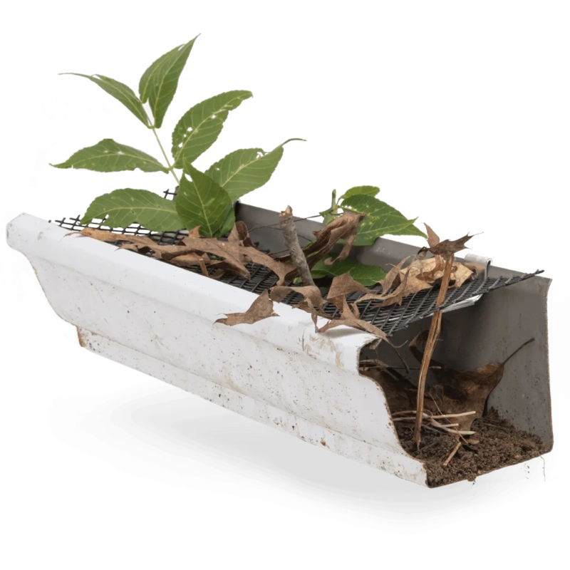 Foreground Image Block