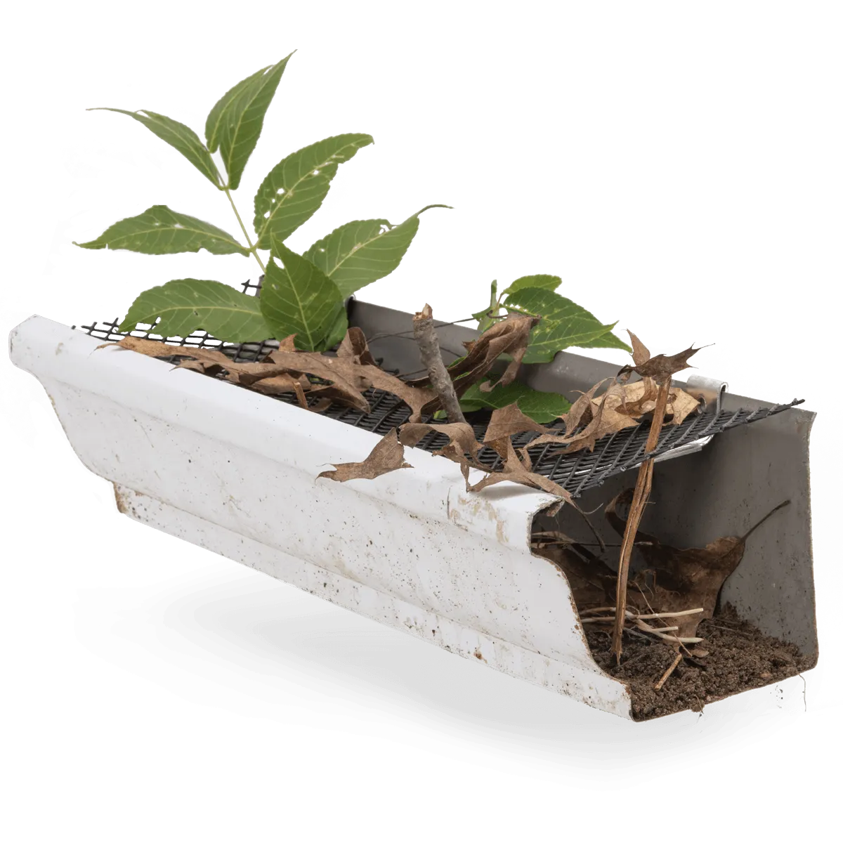 Foreground Image Block