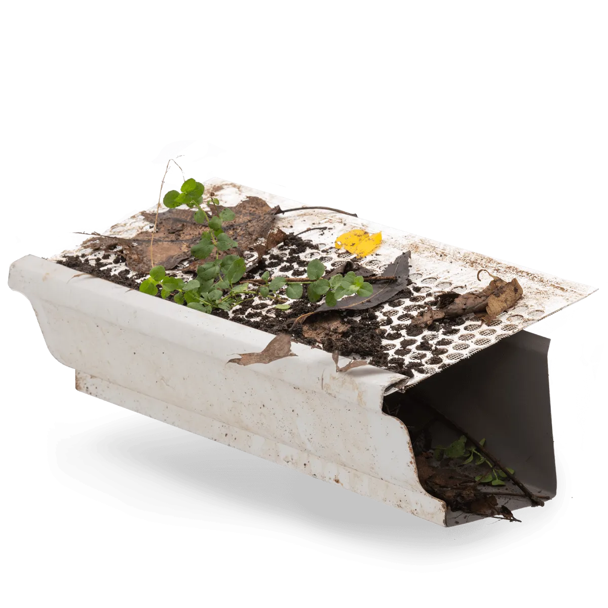 Foreground Image Block