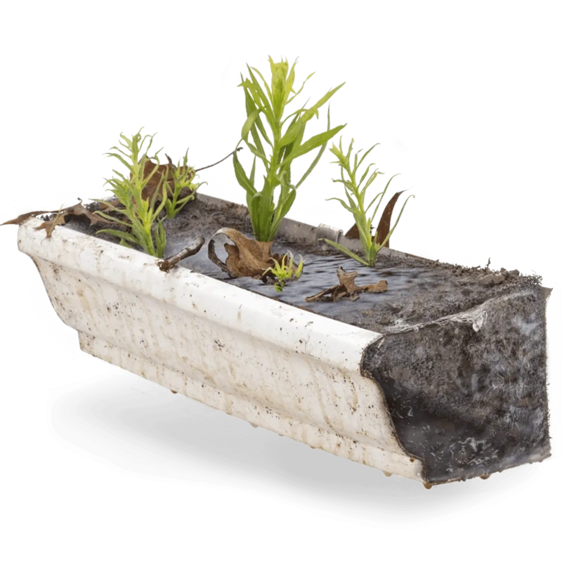 Foreground Image Block