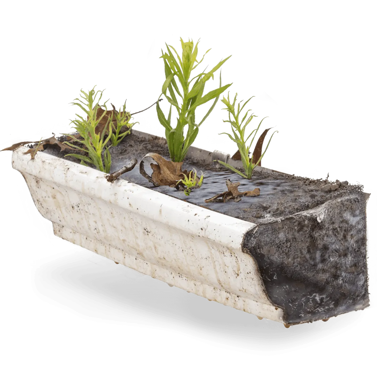 Foreground Image Block