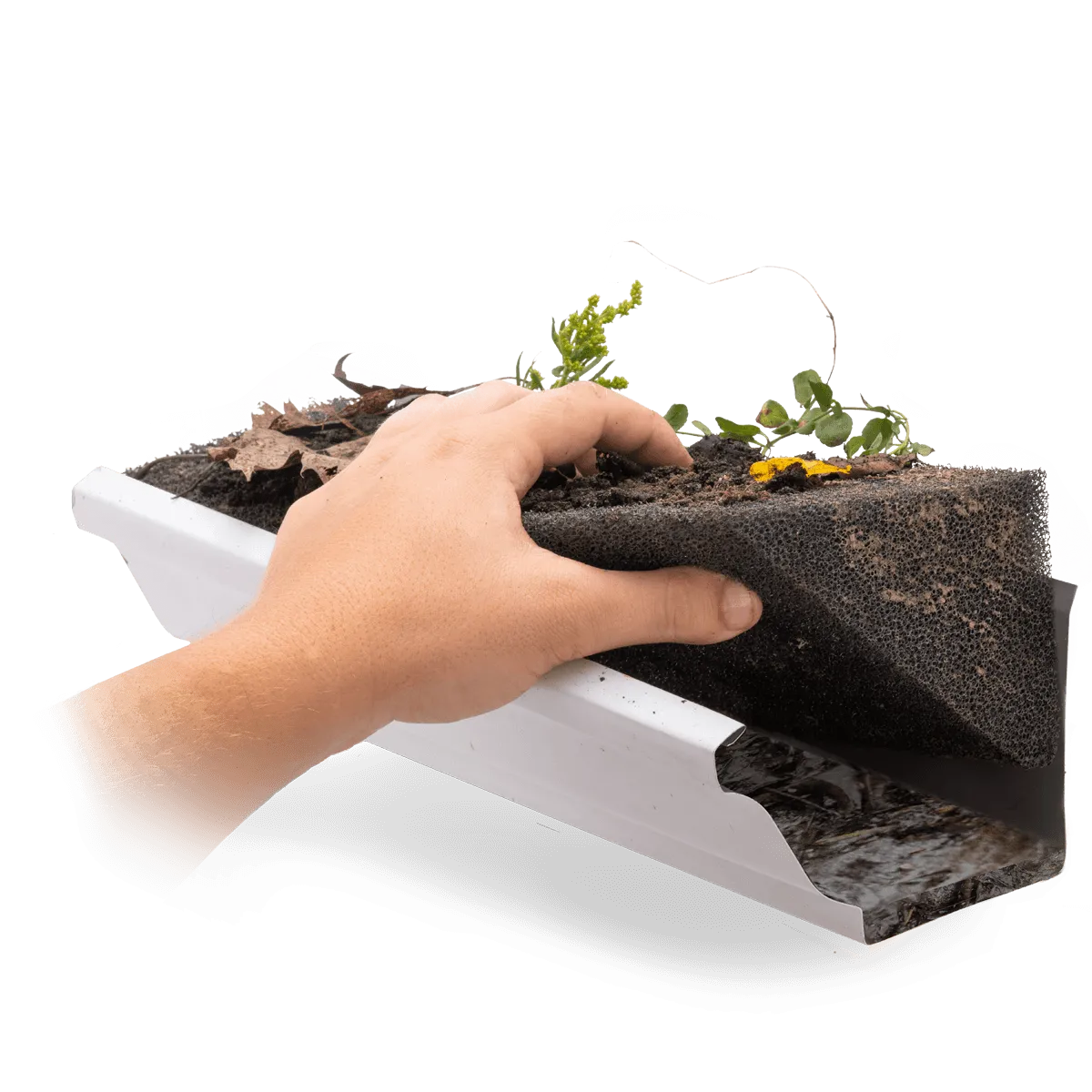 Foreground Image Block