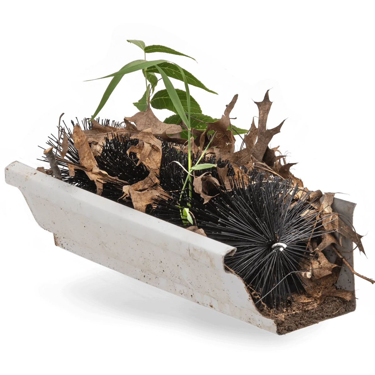 Foreground Image Block