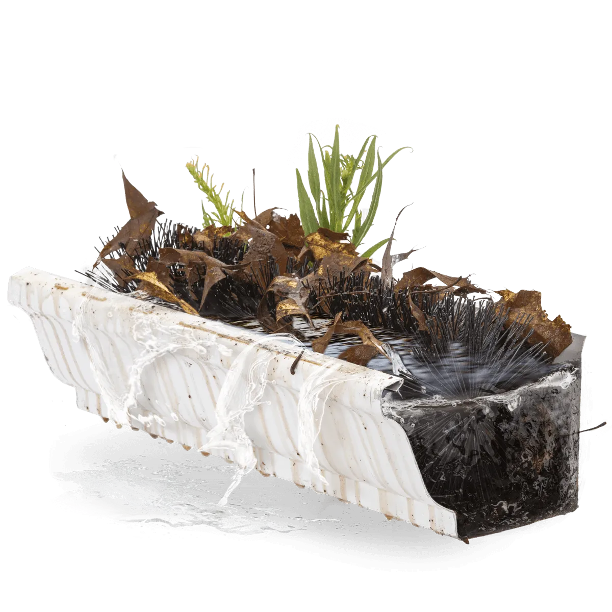 Foreground Image Block