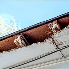 Rotting Fascia & Soffit