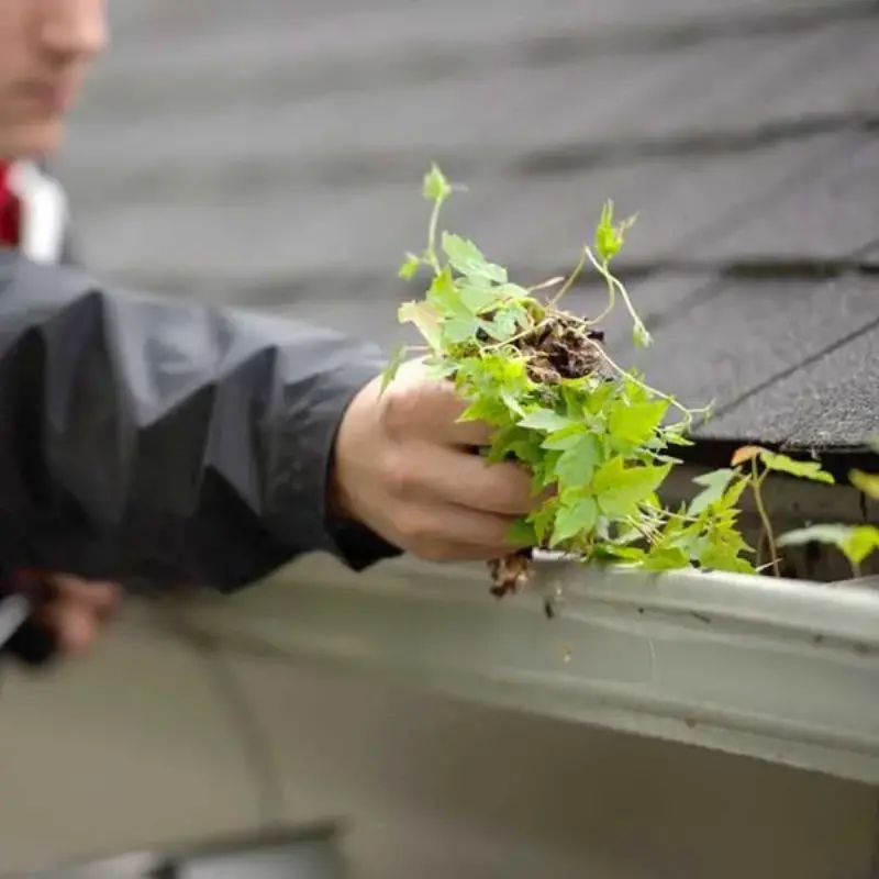 Foreground Image Block