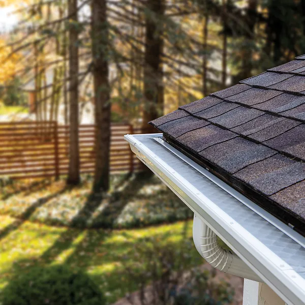 Award winning gutter guards on home