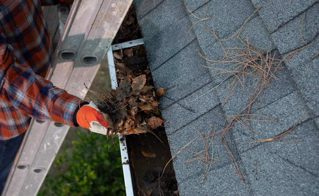 Gutter Cleaning