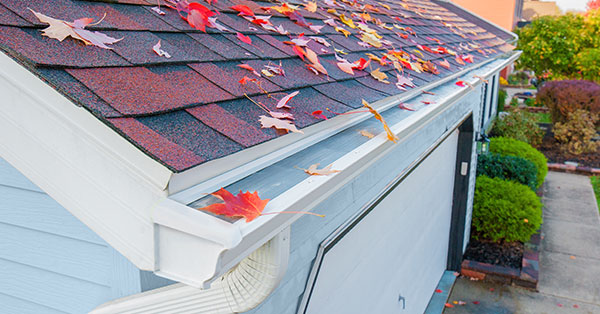 gutter guards: do they work?