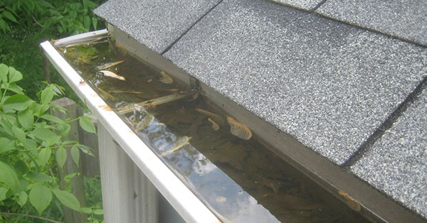signs you have clogged gutters