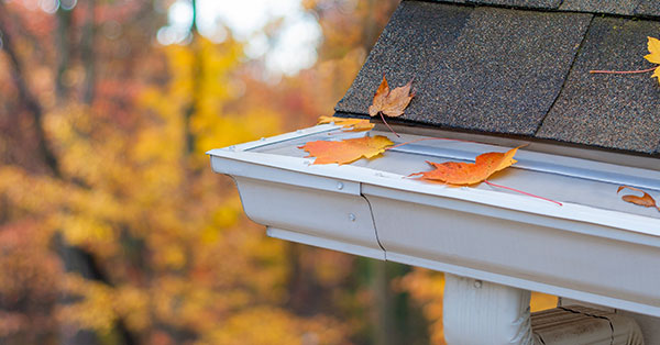 how to protect gutters from fall leaves 