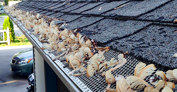 Leaf protection from gutters can help improve performance