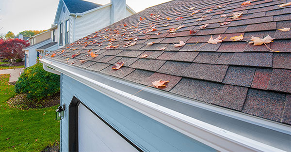 how to achieve leafless gutters